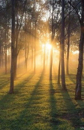 Morning Rituals for Fulfillment and Joy (Part 1 of 2)