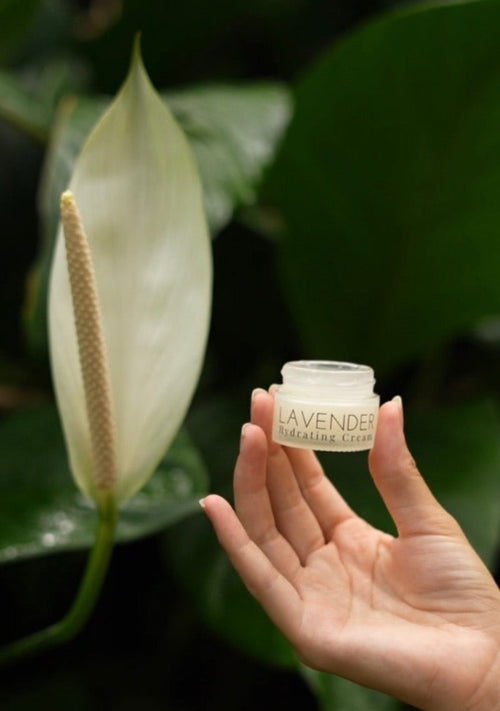 French Lavender Hydrating Cream