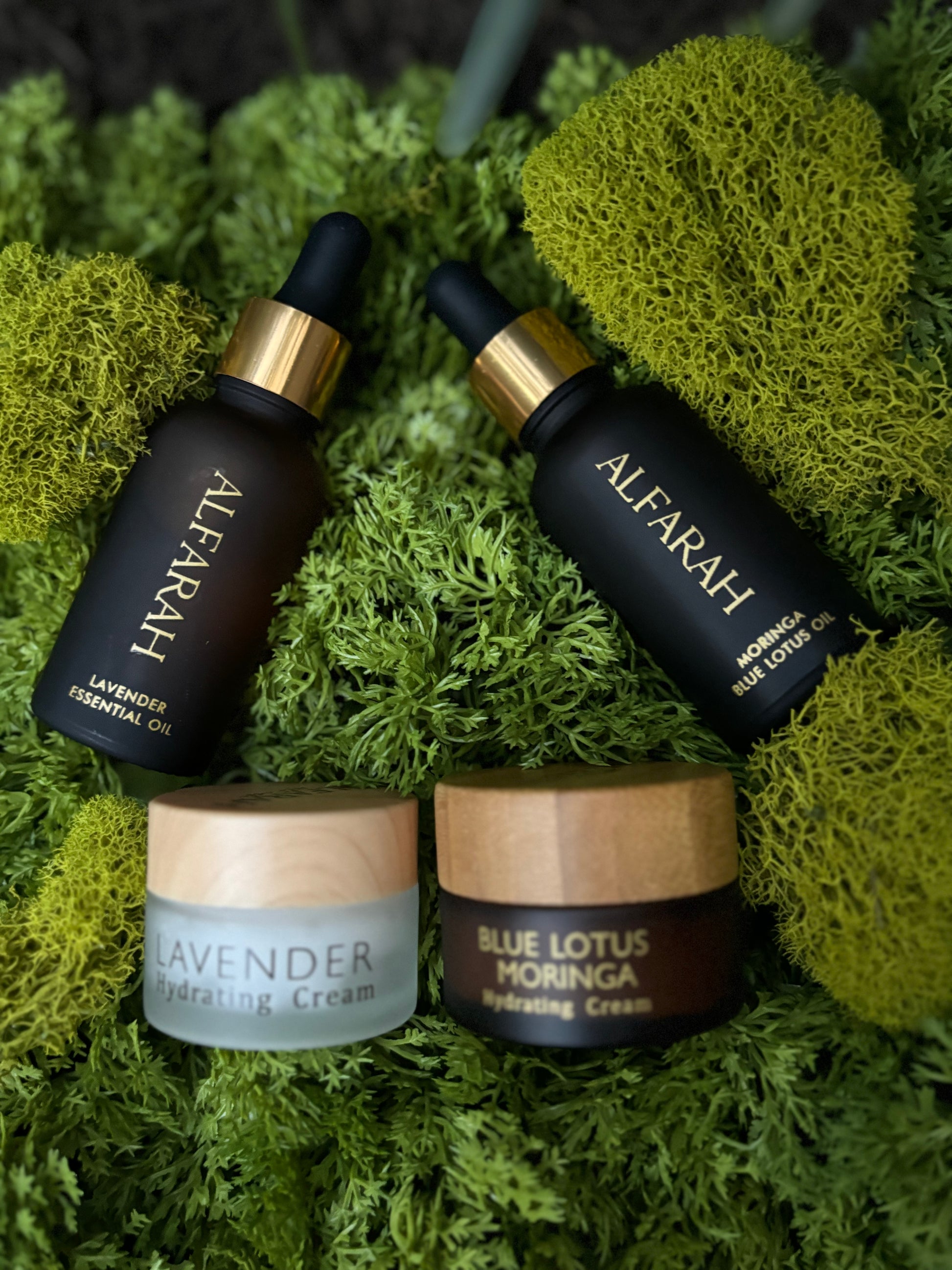 Botanical Ritual Set for Night / Day