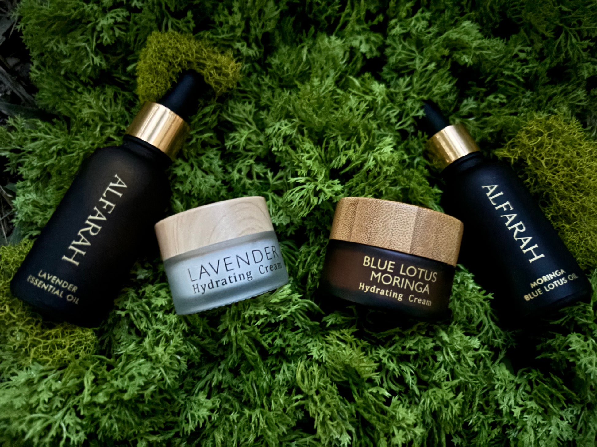 Botanical Ritual Set for Night / Day
