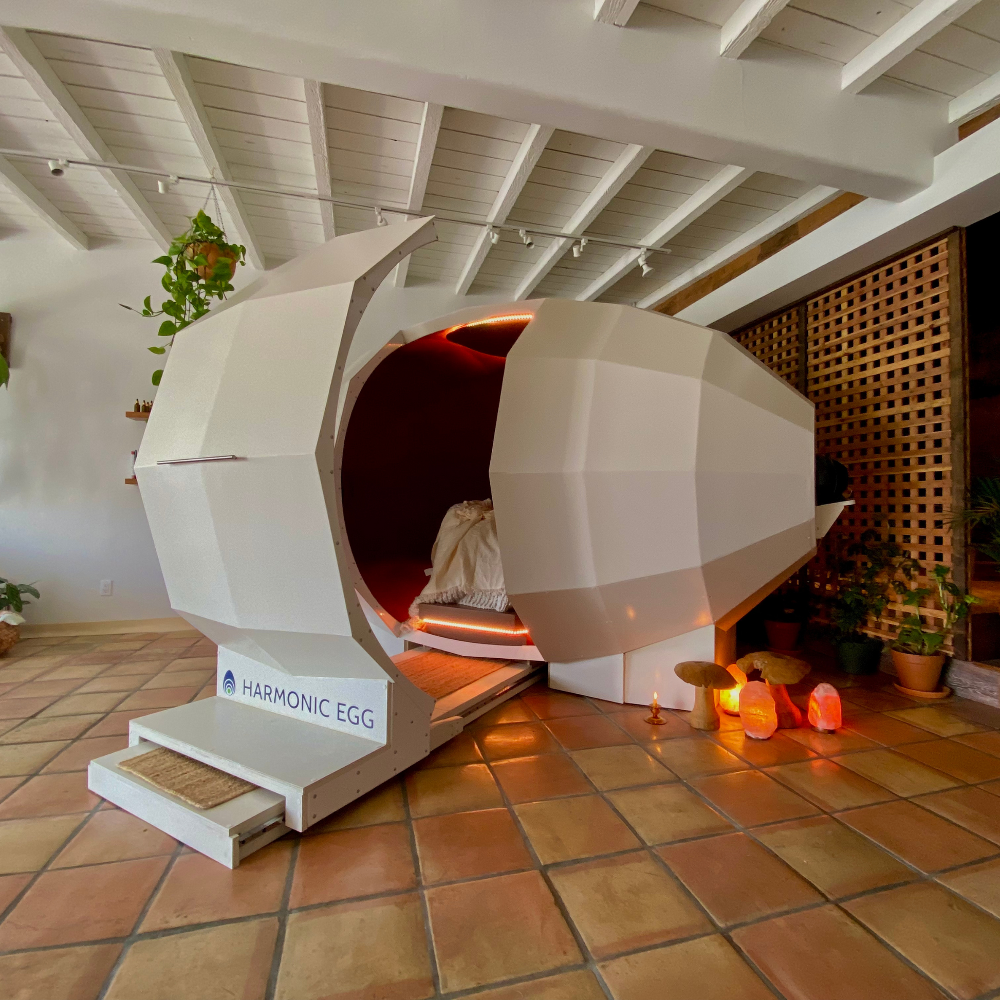 Sr. Annual Membership 60+  Sedona Harmonic Egg