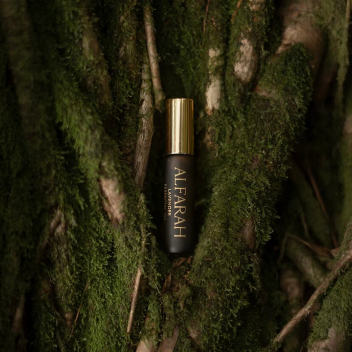 French Lavender Oil - 5ml