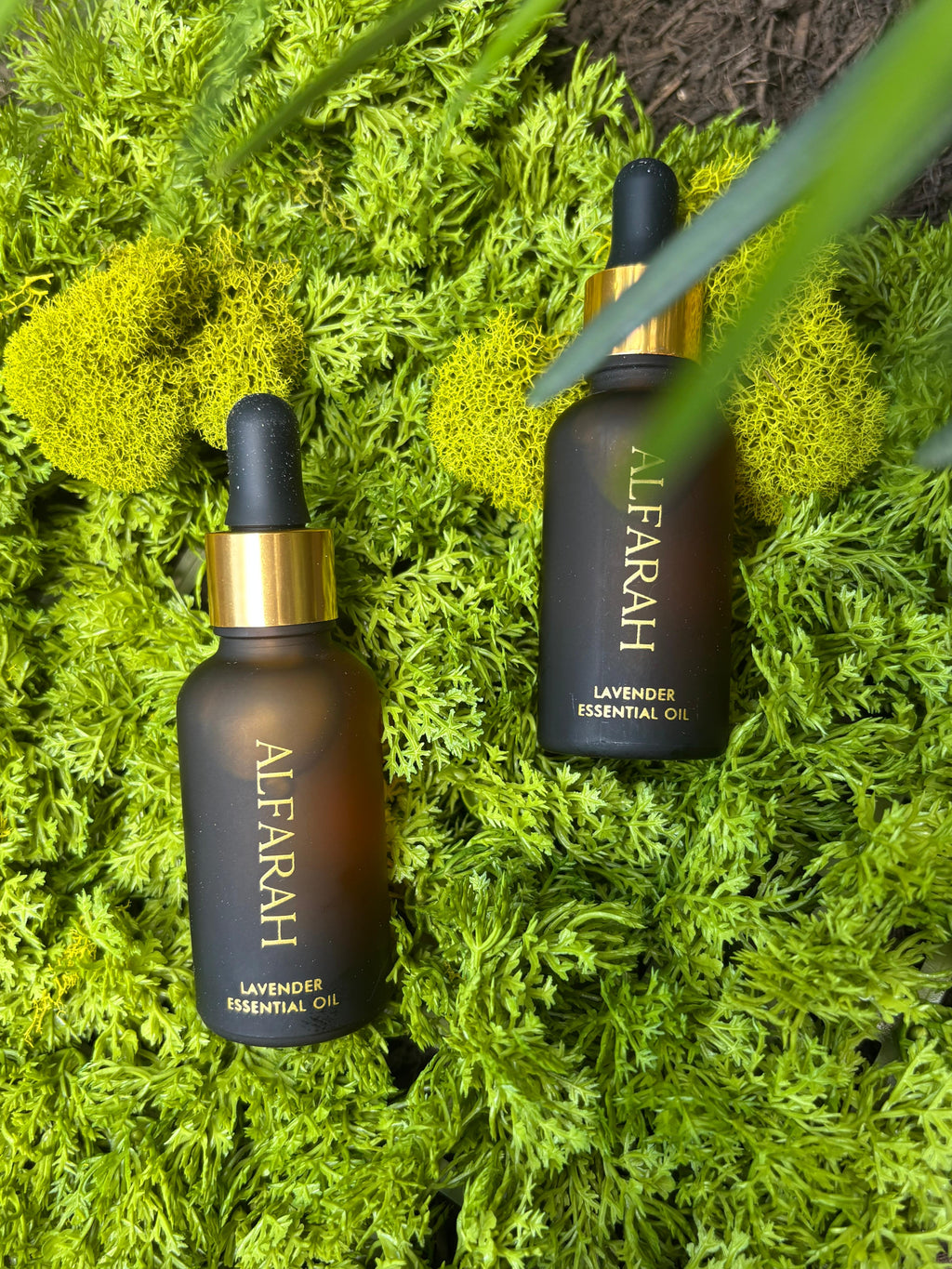 French Lavender Oil (2-Pack Autopurchase Special)