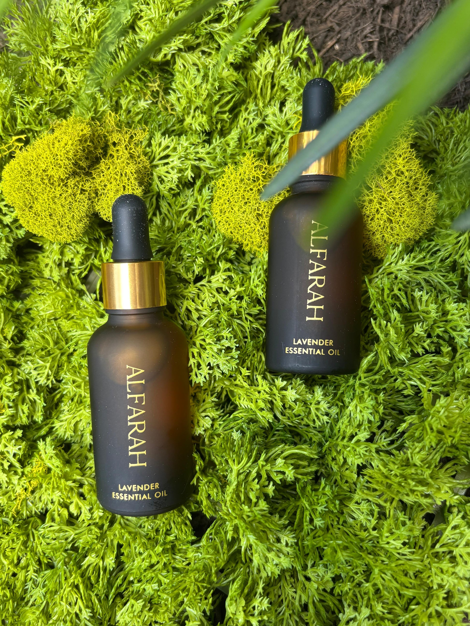 French Lavender Oil (2-Pack Autopurchase Special)